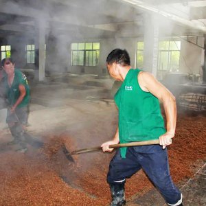 喚醒兩千余條窖池，新的釀酒季由此開始